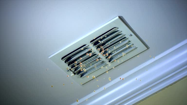 Best Air Vent Cleaning Services  in Eielson Af, AK